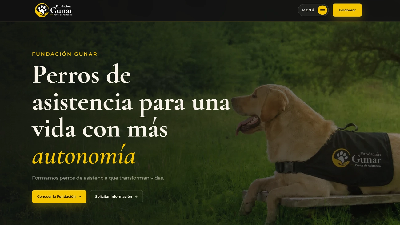 Diseño web para fundación ONG – Gunar